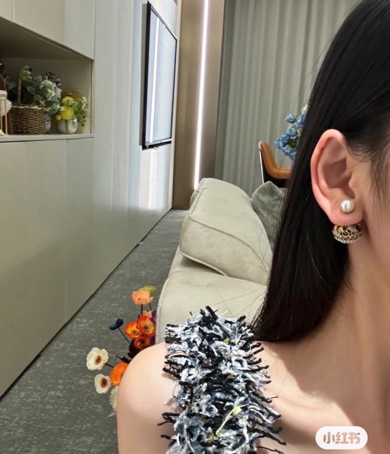 chr1st1an D10r earrings